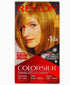 Revlon Colorsilk Beautiful Color permanent hair dye in Dark Blonde, showing the box with hair color swatch and application details.