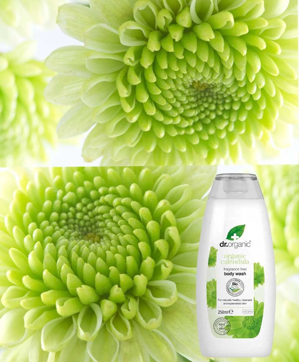 Organic Calendula Fragrance Free Body Wash
