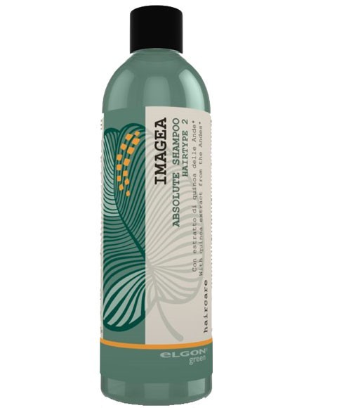 Imagea Absolute Shampoo Hairtype 2