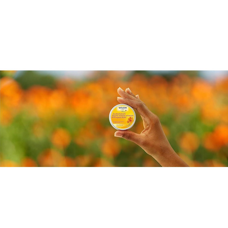 Weleda Calendula Baby All Purpose Balm