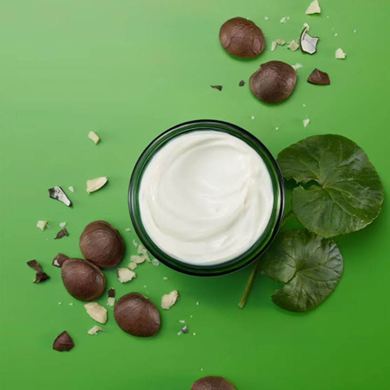 Weleda Skin Food Face Care Nourishing Night Cream