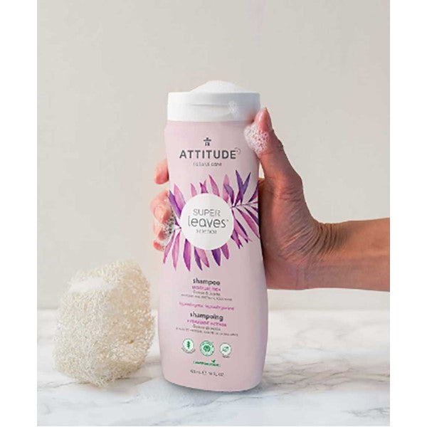 Attitude Super Leaves Science Moisture Rich Shampoo