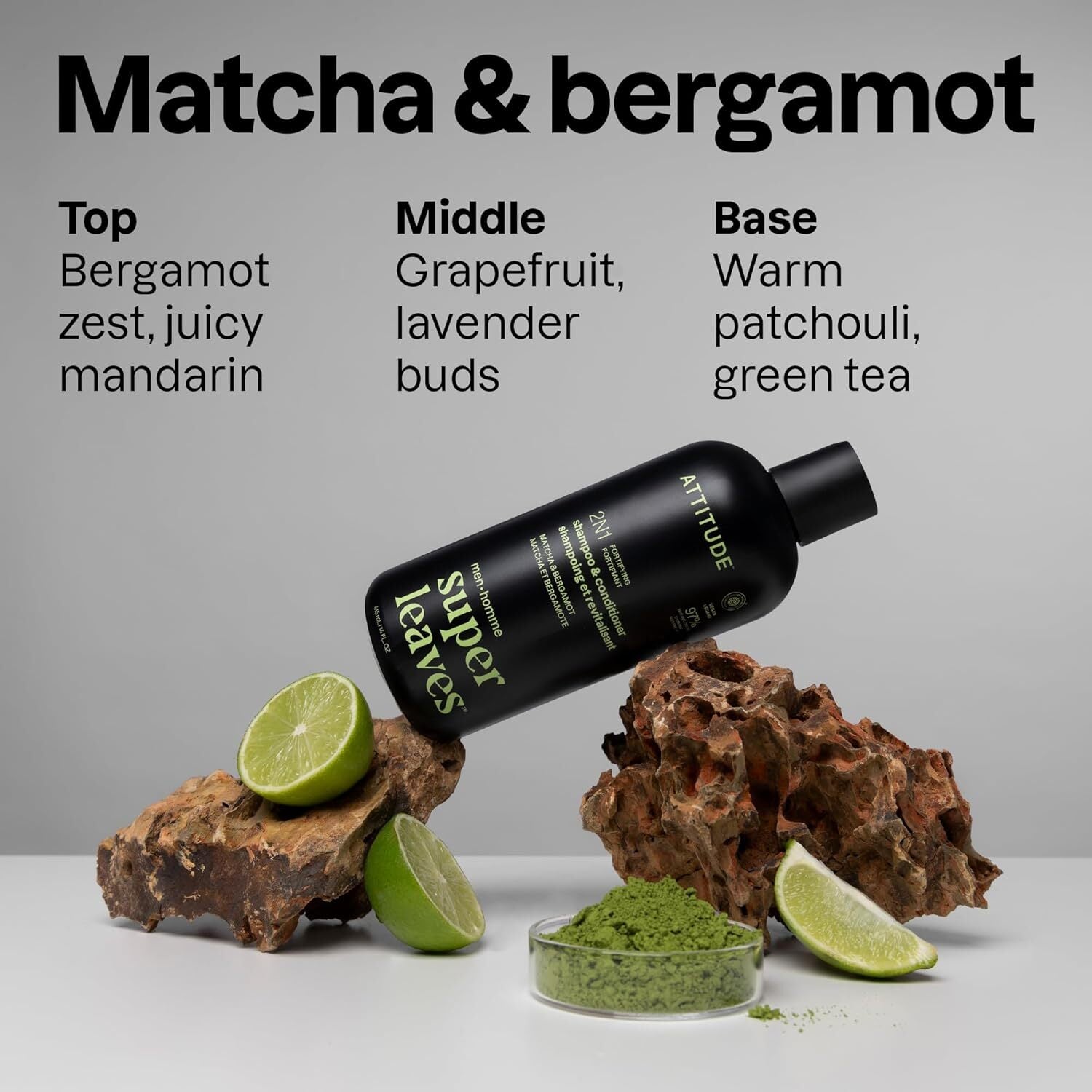 Attitude Super Leaves 2 N 1 Fortifying Shampoo And Conditioner
