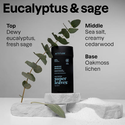 Attitude Super Leaves Men Eucalyptus And Sage Deodorant Stick