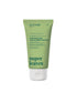 Attitude Super Leaves Repairing Hair Mask