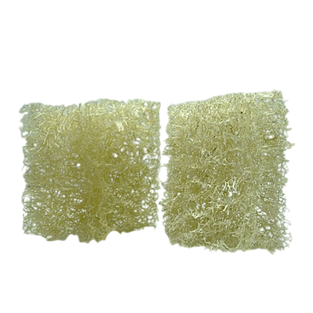 Balmy Naturel Banlif Loofah Washing Up Sponge