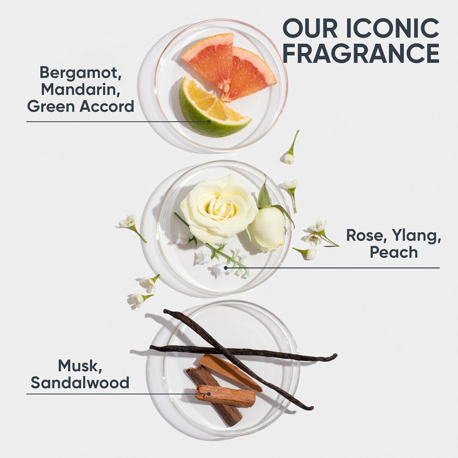 Matrix Biolage Strenght Recovery Strenght Repairing Spray