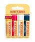 Burts Bees  Bit Of Burts Lip Balm Set