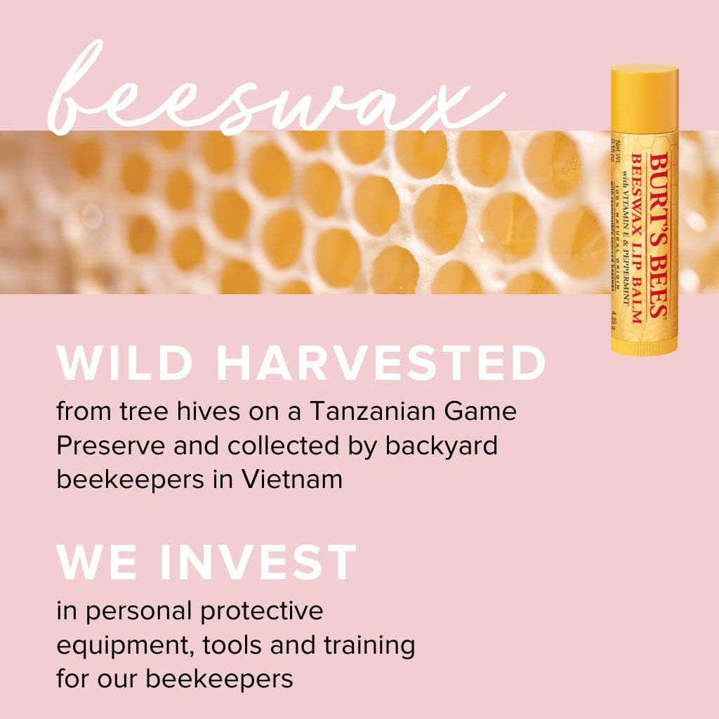 Burts Bees Honey Moisturizing Lip Balm Value 2 Pack