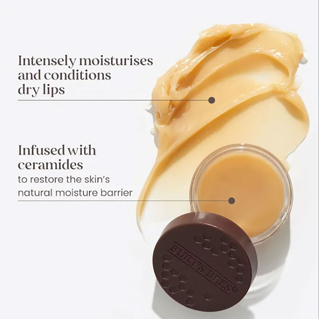 Burts Bees  Overnight Intensive Lip Treatment 