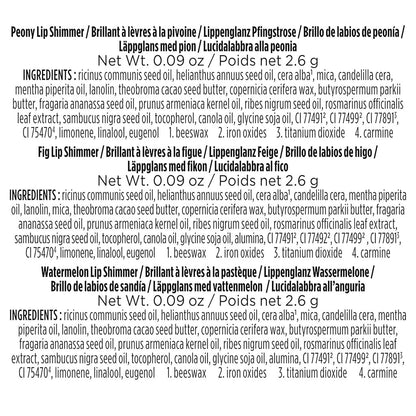 Burts Bees  Petal Kisses Lip Shimmer Gift Set