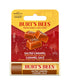 Burts Bees  Salted Caramel Moisturizing Lip Balm