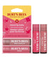 Burts Bees  Tinted Lip Balm Limited Edition