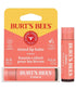Burts Bees  Tinted Lip Balm Zinnia