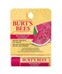 Burts Bees Watermelon Moisturizing Lip Balm