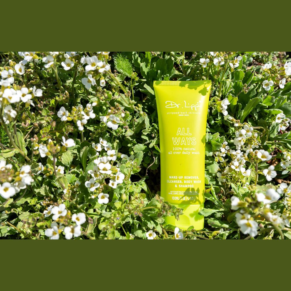 Dr Lipp  All Ways Make Up Remover