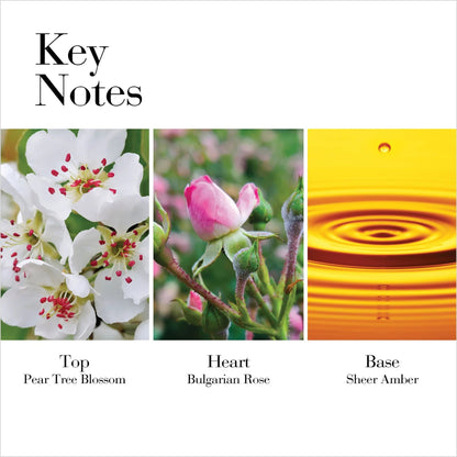 Elizabeth Arden White Tea Wild Rose Eau De Toilette