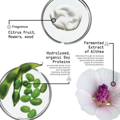 Framesi Morphosis Love Extension Conditioner