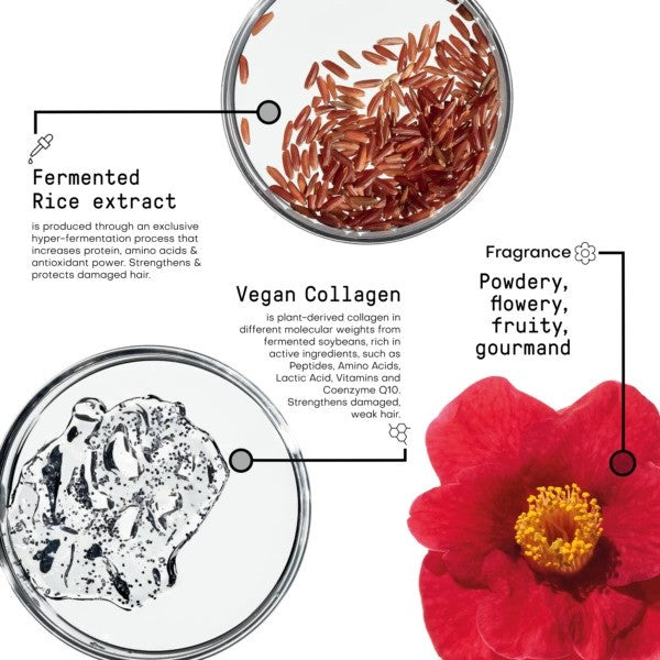 Framesi Morphosis Re Structure Conditioner