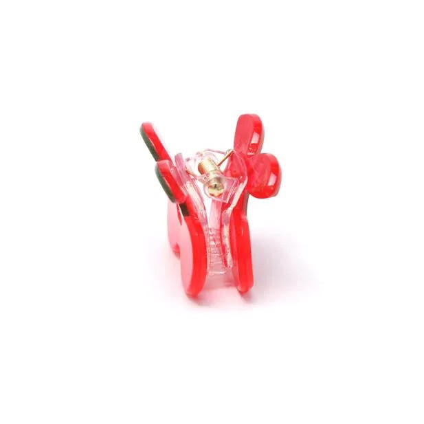 Molly And Rose Card Of 2 Fruit Shaped Mini Clamps 9741