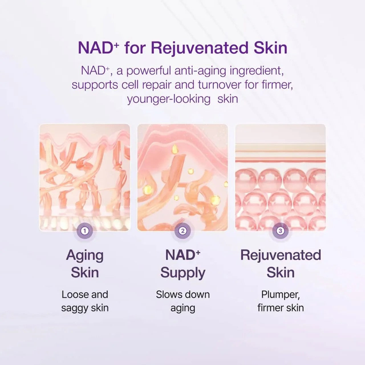 Numbuzin  No 9 Nad Bio Lifting Sil Essence
