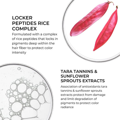 Phyto Color Extend Mask