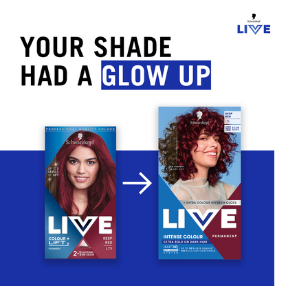 Schwarzkopf Live Intense Colour Extra Bold On Dark Hair Permanent Hair Dye