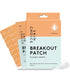 Skin Choice Breakout Pimple Patch Classic Darts