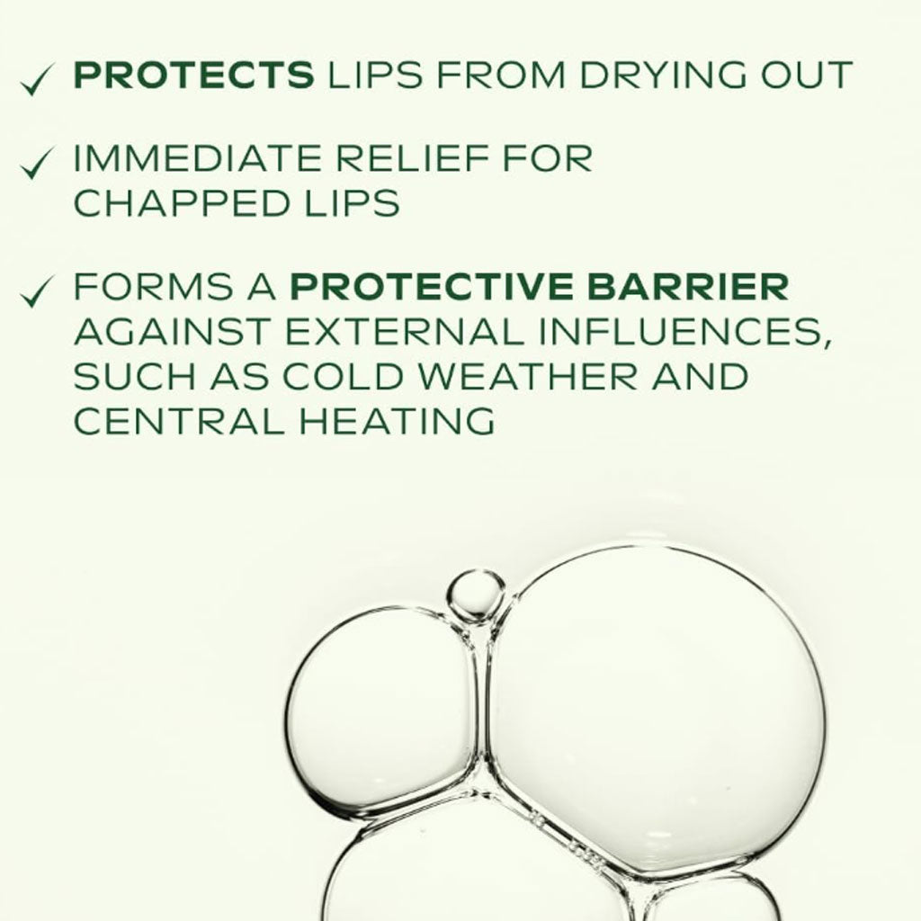 Weleda  Skin Food Top To Toe Body Care Gift Set