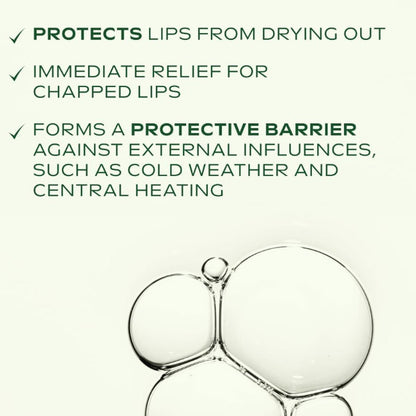 Weleda  Skin Food Top To Toe Body Care Gift Set